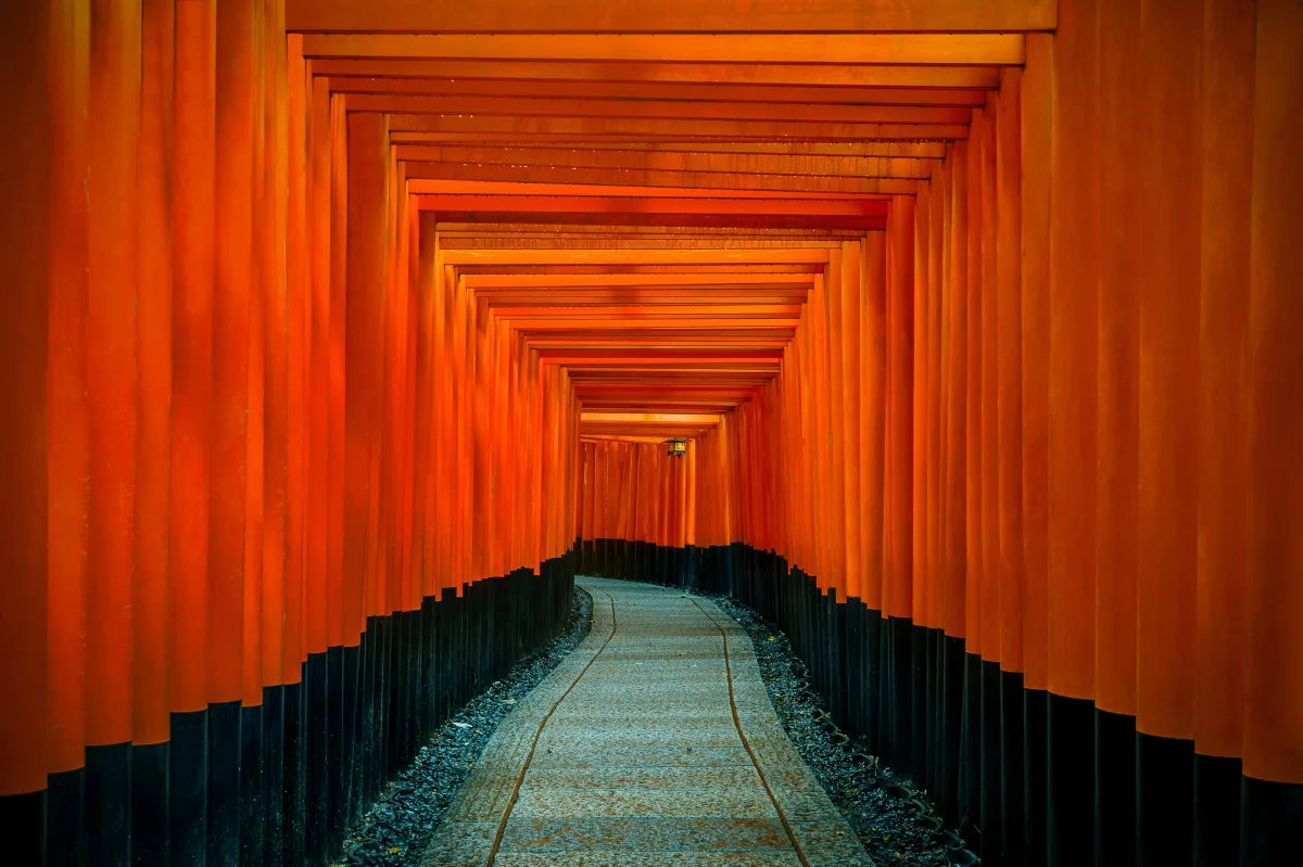 O que fazer em Quioto: túneis de torii vermelhos no santuário Fushimi Inari
